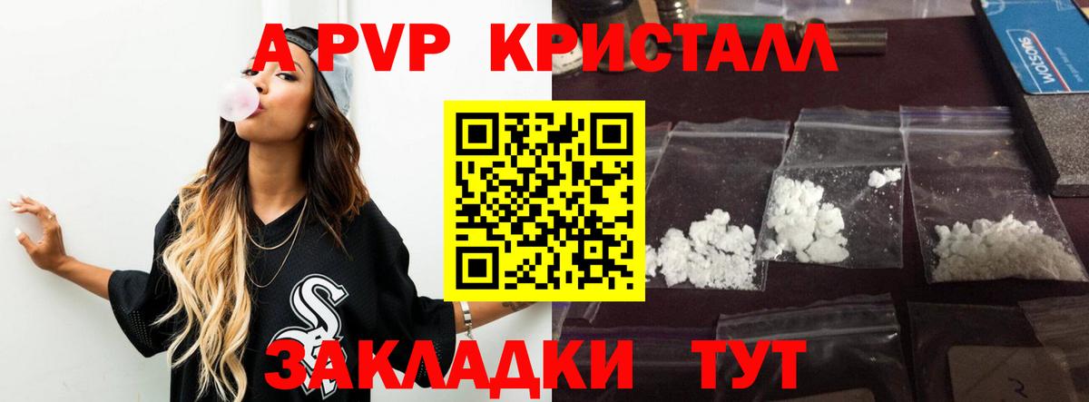 Альфа ПВП СК КРИС Гатчина