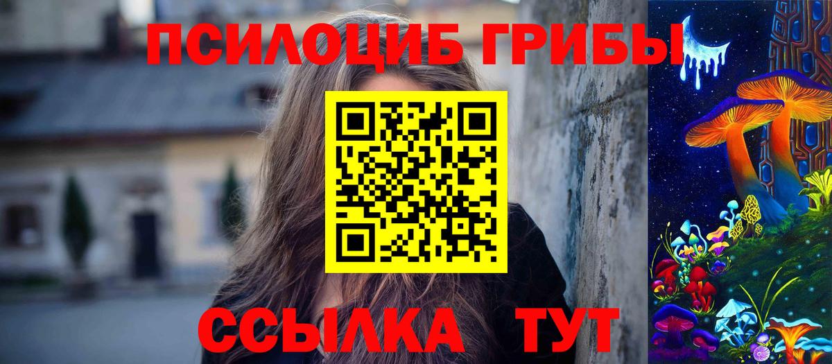 Псилоцибиновые грибы мухоморы  Вход с VPN  Гатчина  Галлюциногенные грибы прущие грибы 