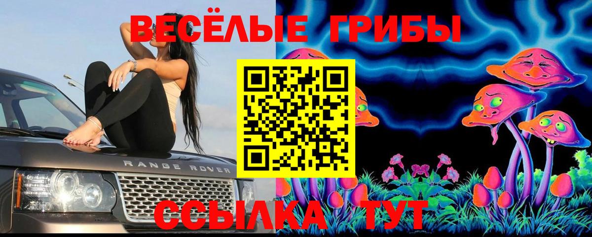 Псилоцибиновые грибы Magic Shrooms Гатчина